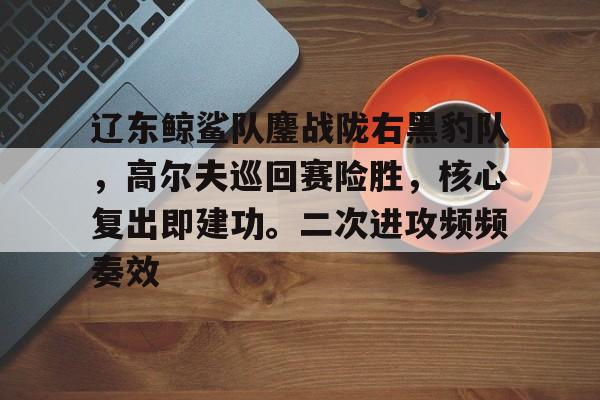 九游娱乐中心-辽东鲸鲨队鏖战陇右黑豹队，高尔夫巡回赛险胜，核心复出即建功。二次进攻频频奏效的简单介绍